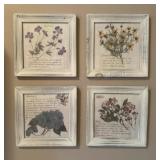 Framed Flower Pressed Flowers 10.5x10.5