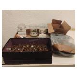 Assorted Rocks, Sea Shells
