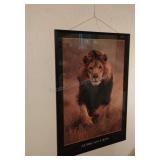 Framed African Lion Poster