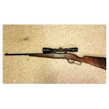 Savage model 1899 .22