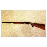Interarms model 22