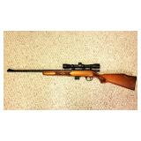 Marlin 25MN .22