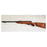 Mossberg 51M .22