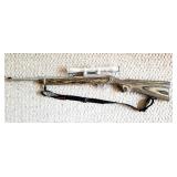 Ruger 10/22 Stainless
