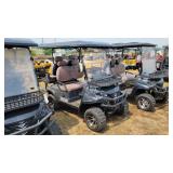 IRGC80 electric golf cart