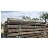 4x8 treated posts each x qty