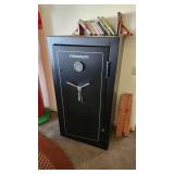 Magnum 10 gun safe