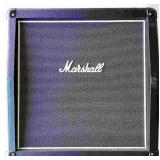 Marshall model MHZ112 a speaker