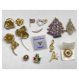 Pins And Brooches: Flowers, Flags, Trees, Cameo