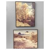 2pc Framed Photographs: Beach, Wilderness Stream