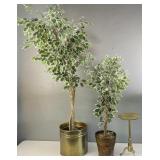 2pc Artificial Ficus Trees, Brass Table Stand