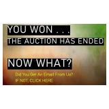 Did You Just Bid & Did You Win? Now What Happens?
