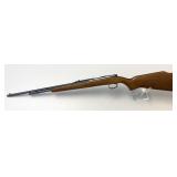 Remington Model 582 .22 Caliber Bolt Action Rifle