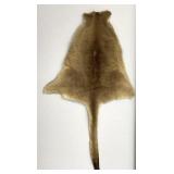 Kangaroo Fur Skin Hide Pelt Rug