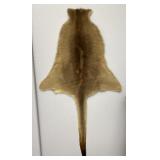 Kangaroo Fur Skin Hide Pelt Rug
