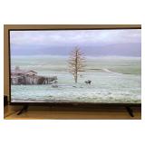 Vizio 40' LCD HD TV with remote