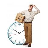 Pick Up Time/Date- Saturday, Oct. 2nd, 10am-3pm