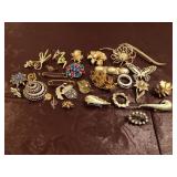 Brooches-pins