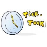 QUICK AUCTION! READ CLOSING & PICKUP TIMES!