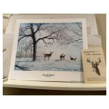 Timbers Edge Whitetail deer art printby artist