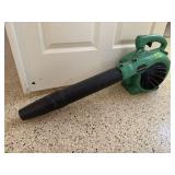 Hitachi gas blower