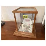 Display case, tea cup & saucer
