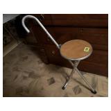 Portable cane stool