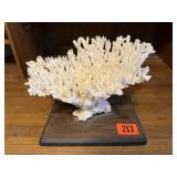 Coral decor piece