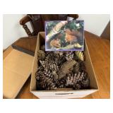 Box of pinecones, squirrel puzzle