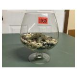 Starfish floral frog, glassware