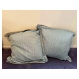 Matching throw pillows (2)
