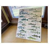 Fish of Ontario poster