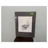 Ducklings black & white sketch