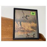 Duck artwork framed print
