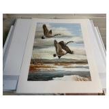 'Corn States' Canadian Geese artists proof