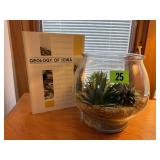 Geology of Iowa book, terrarium of artificial