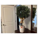 Wall topiary