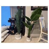 Green plants (2)