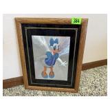 Daisy Duck Walt Disney picture