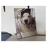 'Where You Go, I Will Go' dog picture