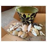 Bin of seashells