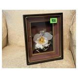 Orchid shadow box