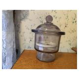 Sanitizing jar