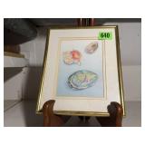 Watercolor seashell framed artwork