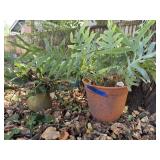 Flower pots, green plants included