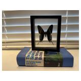 Audubon Society Butterfly field guide, specimen