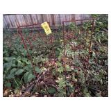 Red garden trellis (2)