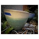 Flower pots (2), contents included
