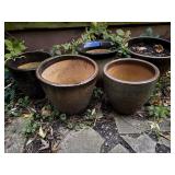 Flower pots (5), contents included