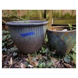 Flower pots (2), contents included